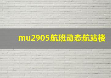 mu2905航班动态航站楼