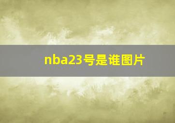 nba23号是谁图片