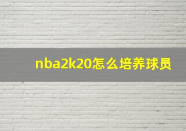 nba2k20怎么培养球员