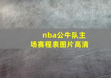 nba公牛队主场赛程表图片高清