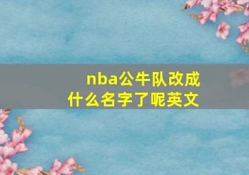 nba公牛队改成什么名字了呢英文