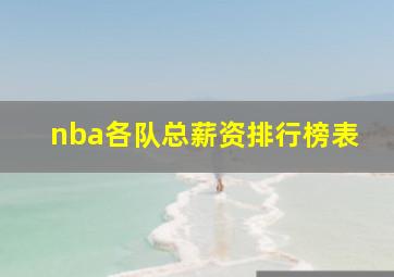 nba各队总薪资排行榜表