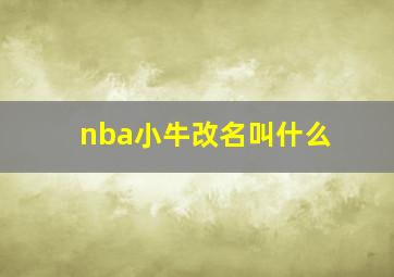 nba小牛改名叫什么