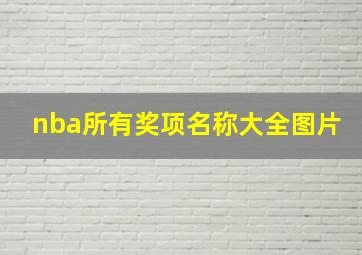 nba所有奖项名称大全图片