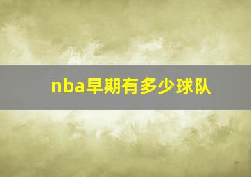 nba早期有多少球队