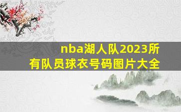 nba湖人队2023所有队员球衣号码图片大全