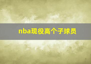 nba现役高个子球员