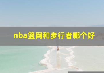 nba篮网和步行者哪个好