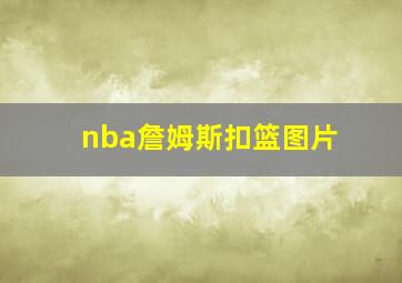 nba詹姆斯扣篮图片