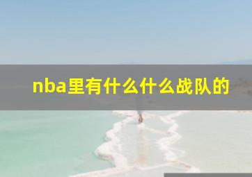 nba里有什么什么战队的