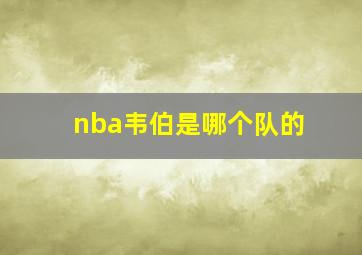 nba韦伯是哪个队的