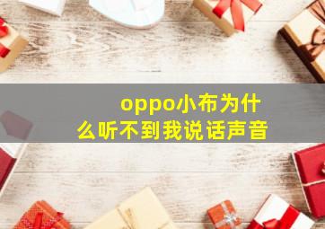 oppo小布为什么听不到我说话声音