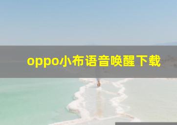 oppo小布语音唤醒下载