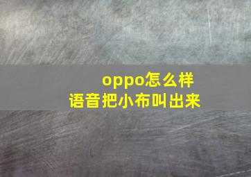 oppo怎么样语音把小布叫出来