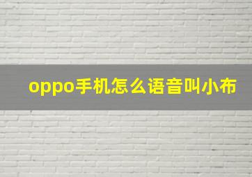 oppo手机怎么语音叫小布