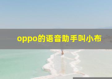 oppo的语音助手叫小布