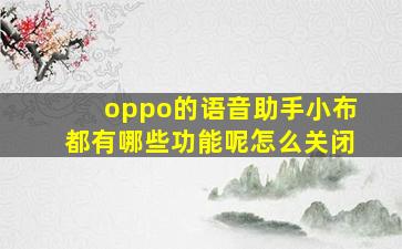 oppo的语音助手小布都有哪些功能呢怎么关闭