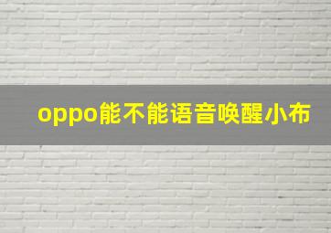 oppo能不能语音唤醒小布