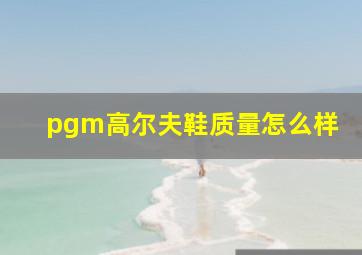 pgm高尔夫鞋质量怎么样