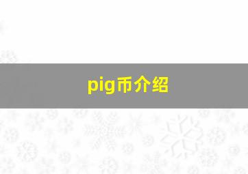 pig币介绍