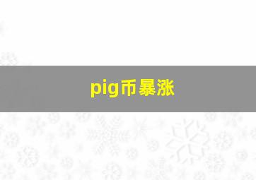 pig币暴涨