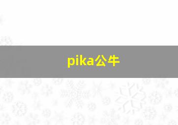 pika公牛