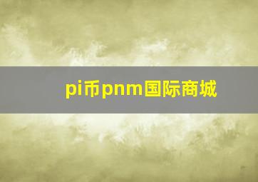 pi币pnm国际商城