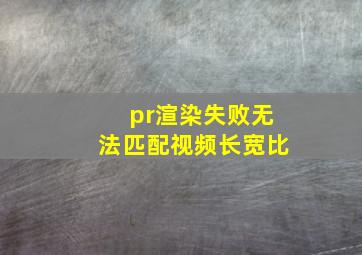 pr渲染失败无法匹配视频长宽比