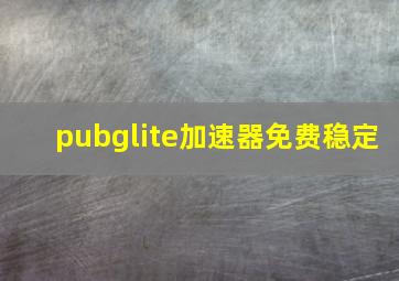 pubglite加速器免费稳定