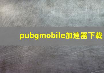 pubgmobile加速器下载