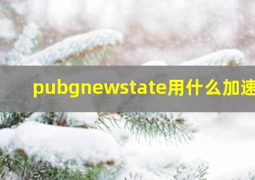 pubgnewstate用什么加速器