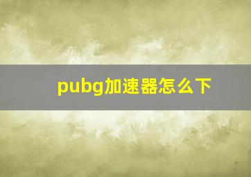 pubg加速器怎么下