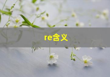 re含义