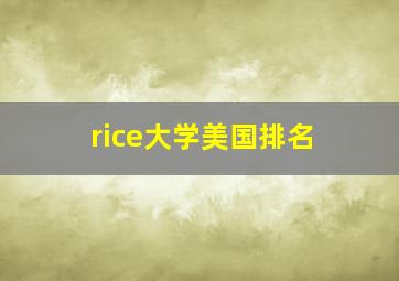 rice大学美国排名