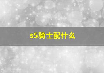 s5骑士配什么