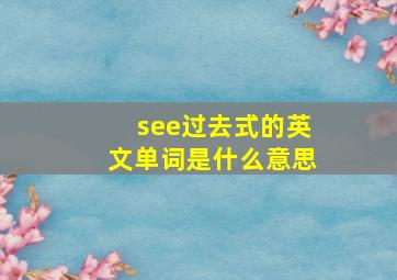 see过去式的英文单词是什么意思