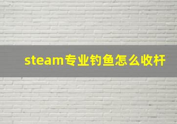 steam专业钓鱼怎么收杆