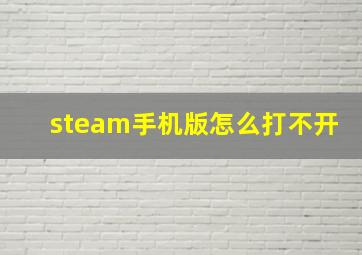 steam手机版怎么打不开