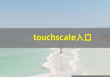 touchscale入口