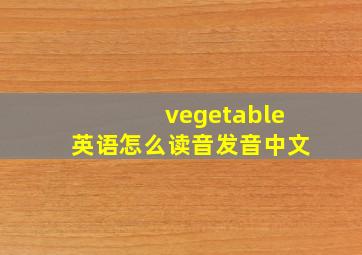 vegetable英语怎么读音发音中文