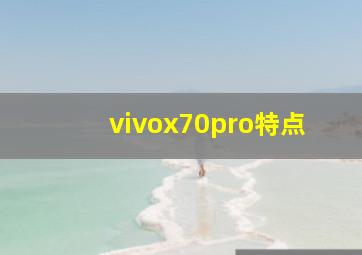 vivox70pro特点