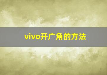 vivo开广角的方法