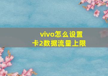 vivo怎么设置卡2数据流量上限