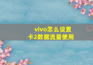 vivo怎么设置卡2数据流量使用