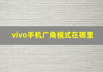 vivo手机广角模式在哪里