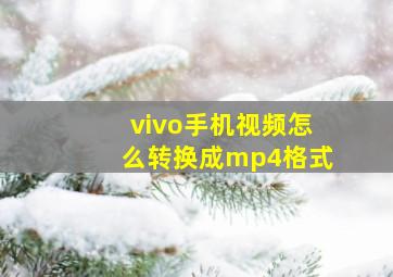 vivo手机视频怎么转换成mp4格式