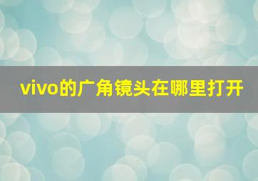 vivo的广角镜头在哪里打开