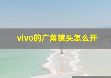 vivo的广角镜头怎么开