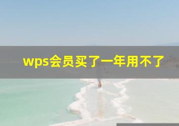 wps会员买了一年用不了