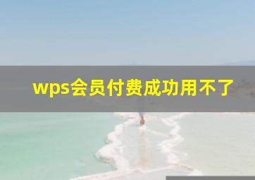 wps会员付费成功用不了